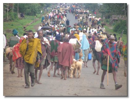 ET 44 - Market Day Street View